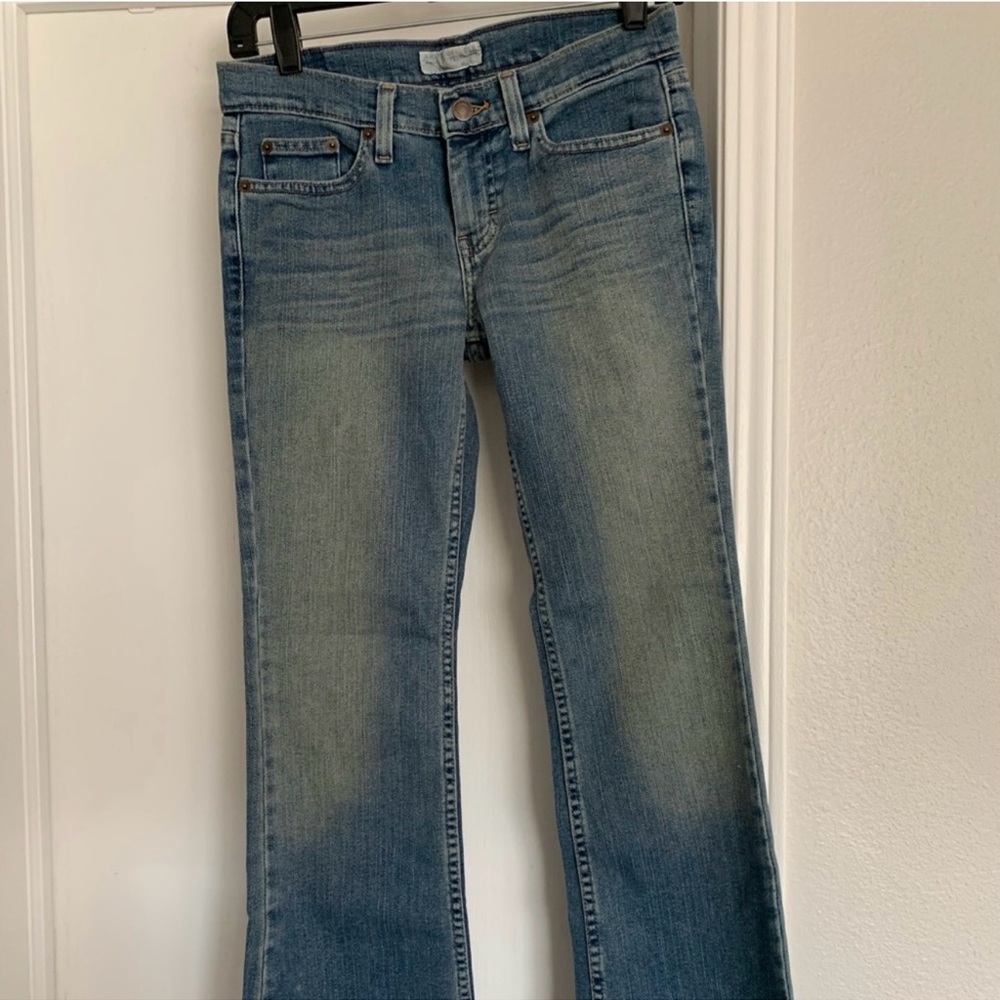 American Eagle Outfitters Size 2P Blue Flare Jeans